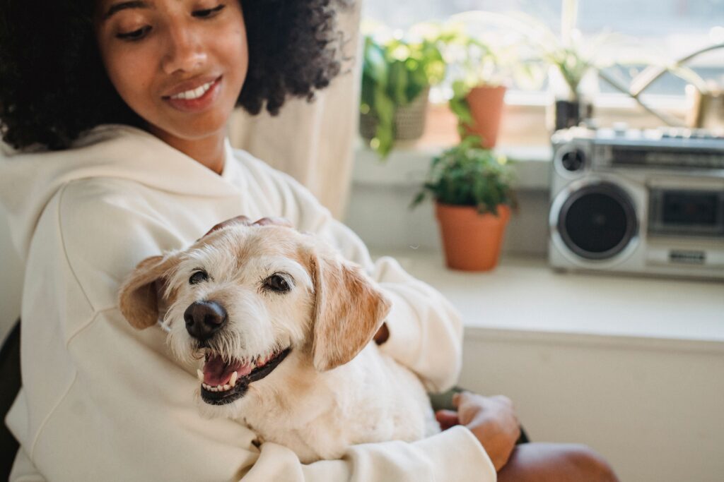 Young African American female in hoodie sitting on chair while caressing adorable puppy at home